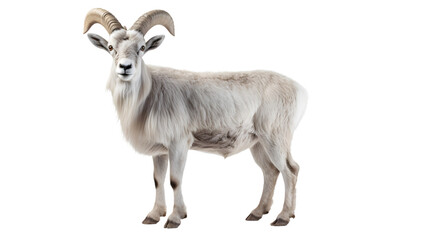 A majestic white goat with powerful horns stands tall among the rugged terrain, embodying the wild spirit of a goatantelope and the grace of a livestock animal