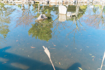 京都のお寺の庭園や風景