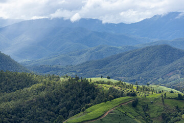 Fototapeta premium Top view Landscape of Morning Mist with Mountain Layer at Sapan nan thailand