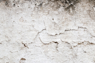 Light Gray Stucco Wall Texture. Abstract Background