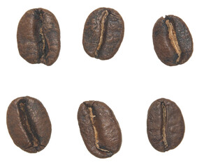 Coffee beans - 701576934