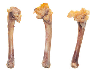 Chicken bones - 701576960