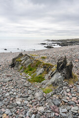 Rocky shores of the Barents Sea on a cloudy summer day, Northern Norway