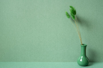 Vase of Lagurus ovatus tail grass plant on table. green wall background. minimal interior