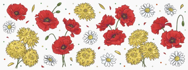 Fotobehang Set with hand drawn chamomile, dandelion and red poppy isolated on background. Floral design template. Sketch flowers collection. Vector illustration © AM_art