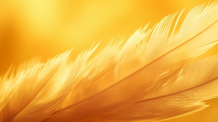yellow colour feather closeup on golden background. selective focus