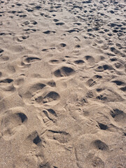 
These are shoe prints in the sand.