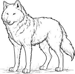 Fototapeta premium Coloring page Animals Cartoon clipart for kids illustration book 