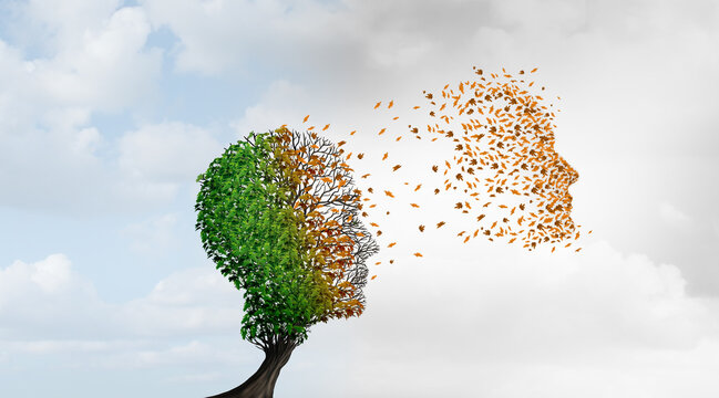 Psychology Of Aging and the fear of growing old and a concept for issues of geriatric longevity or the loss of youth and the anxiety of mortality or personality changes and life span as a withering tr
