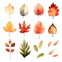 Obraz premium Set of autum watercolor leaves illustration isolated 