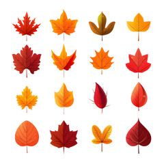 Fototapeta premium Set of autum watercolor leaves illustration isolated 