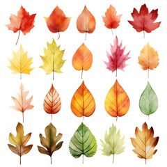 Obraz premium Set of autum watercolor leaves illustration isolated 