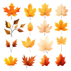 Set of autum watercolor leaves illustration isolated 