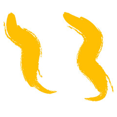 Colored Abstract Grunge Paint Brush Stroke Design Element