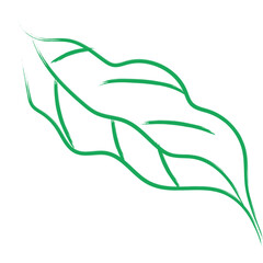 Colored Abstract Grunge Paint Brush Stroke Design Element