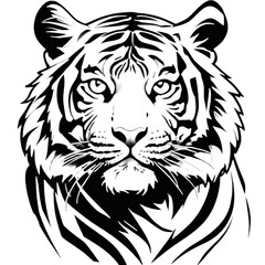 Tiger head sketch hand draw