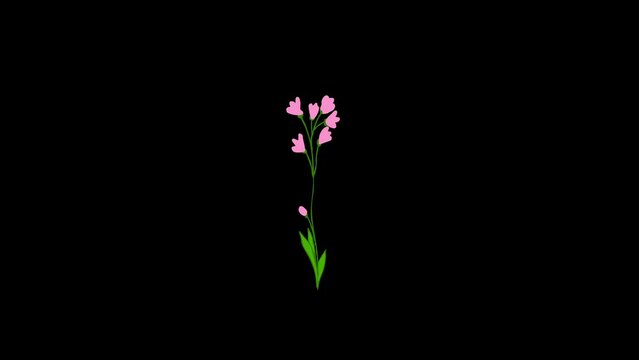 Cartoon Flowers Animations Motion Graphics Pack is a colorful, natural and beautiful animation collection of hand drawn cartoon flowers and stems.