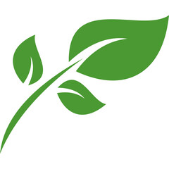 Eco Friendly