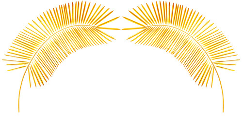 Duo de palmes dorées sur fond blanc 