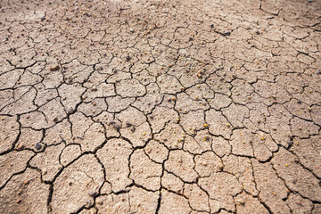Cracked clay ground into the dry season, Effects of global warming. Cracks of the dried soil in arid season.