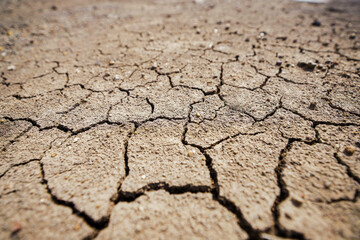 Cracked clay ground into the dry season, Effects of global warming. Cracks of the dried soil in...