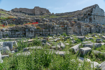 details of ancient settlement milet amphitheater flowers and green nature with blue sky