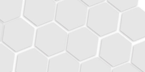 Abstract white and gray hexagon technology lines background. Abstract white and grey color hexagonal geometric background with copy space. Abstract white lines background.