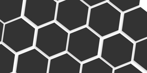 Obraz premium Abstract white and black hexagon technology lines background. Abstract white and grey color hexagonal geometric background with copy space. Abstract white lines background.