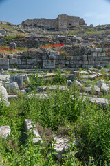 details of ancient settlement milet amphitheater flowers and green nature with blue sky