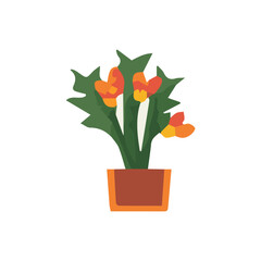 vector plant with brown pot plant
