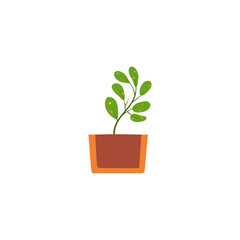 vector plant with brown pot plant
