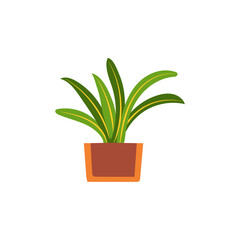 vector plant with brown pot plant