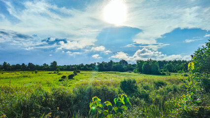Green field, blue sky and sun at Pantai Sepat, Kuantan Pahang, Malaysia.
