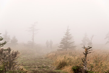 Obraz na płótnie Canvas Mountain scenic trail after rain Green forest hill covered by fog Cape Breton Highlands National Park Nova Scotia Canada