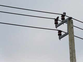 Electric pole and electric wire in Bangkok, Thailand.