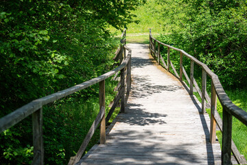 Wooden bridge in the forest 