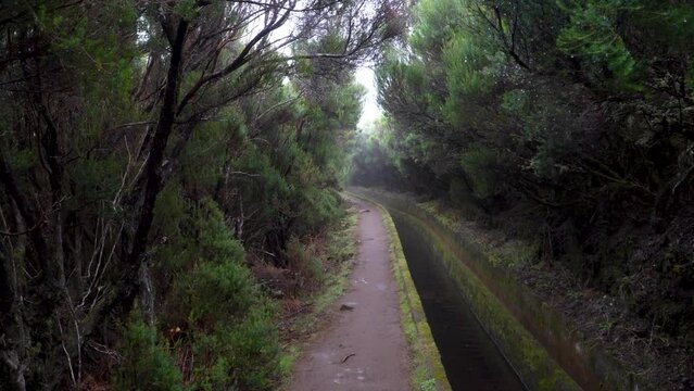 Levada on Madeira island on a foggy day