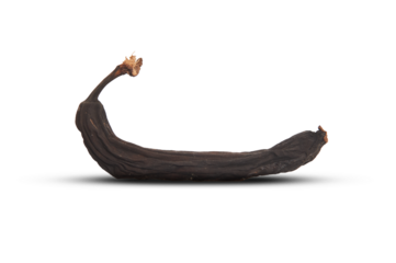 Rotten and withered black banana on white background