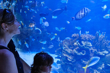 Mom and son looking at fishes in oceanarium