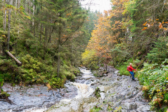 Belgium, Wallonia, Senior hiker climbing over rocks alongTrosMaretsriver in High Fens -EifelNature Park