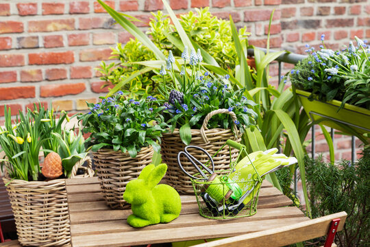 Easter bunny by various flower plants on table in garden - Powered by Adobe
