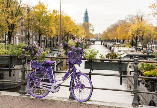 Purple bicycle with flowers on bridge
