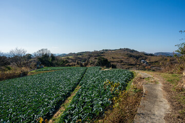 Fototapeta na wymiar 日本の岡山県瀬戸内市の牛窓と前島の美しい風景