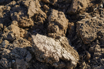 fall plowed field, ready for a new crop. furrow Agricultural background of plowed field ready for new crops. detail.