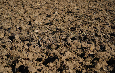 fall plowed field, ready for a new crop. furrow Agricultural background of plowed field ready for new crops. detail.