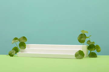Centella asiatica leaves are used to decorate a white terraced platform on a pastel background....