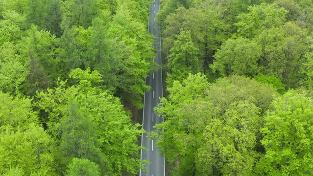 Aerial view of road through forest in Steigerwald, Bavaria, Germany