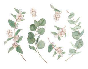 Set of watercolour eucalyptus and snowberry branches