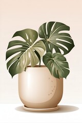 monstera plant in beige flowerpot