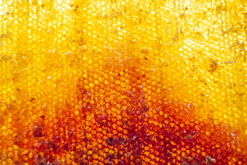 Drop of bee honey drip from hexagonal honeycombs filled with golden nectar